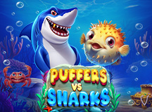 Puffers Vs Sharks