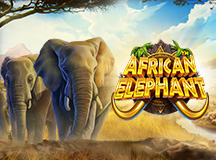African Elephant