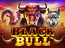 Black Bull