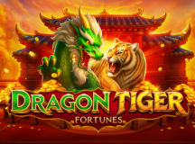 Dragon Tiger Fortunes