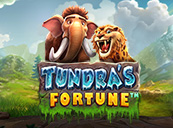 Tundra’s Fortune