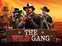 The Wild Gang